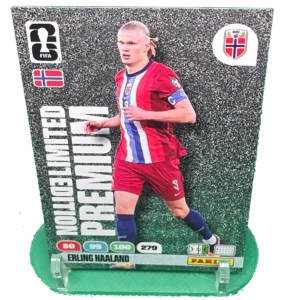 erling haaland