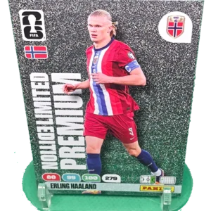 erling haaland