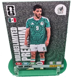 raul jimenez (2)
