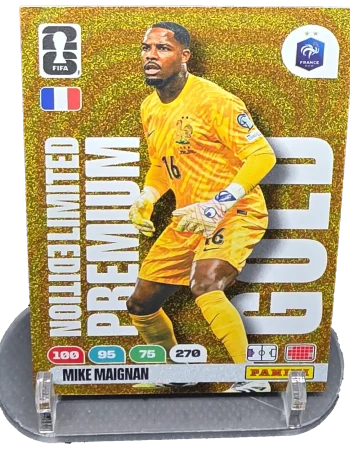 Home mike maignan